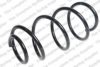 LESJ?FORS 4044256 Coil Spring